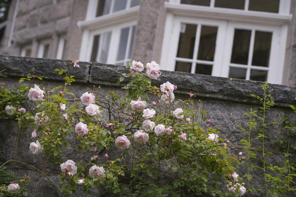 Lys-Na-Greyne Bed and Breakfast Aboyne Eksteriør billede